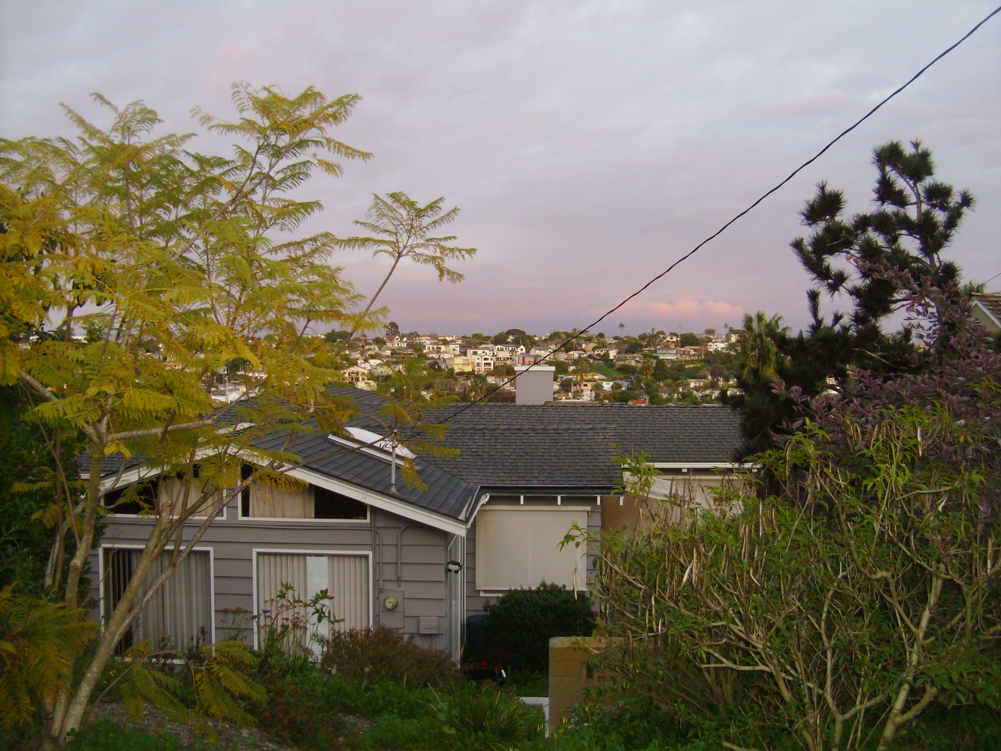 The view from Grandma's house. I took this photo in January of 2026.